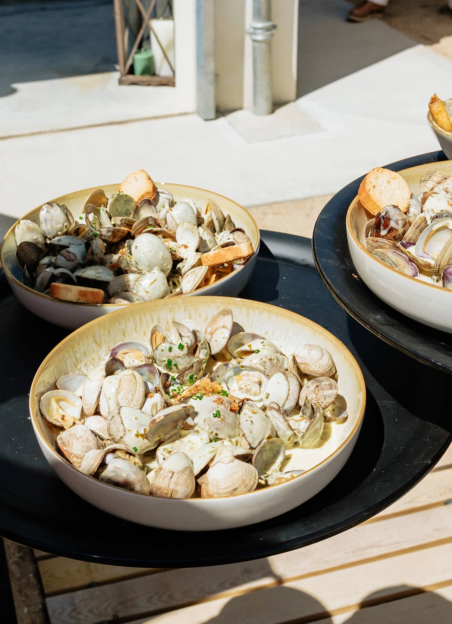 Dégustation de coquillage de l'Île de Ré