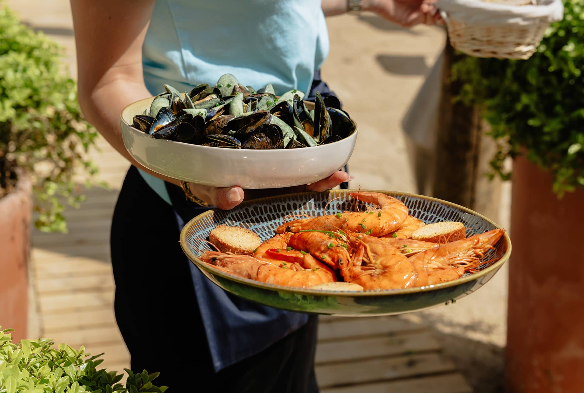 Dégustation de fruits de mer sur l'Île de Ré